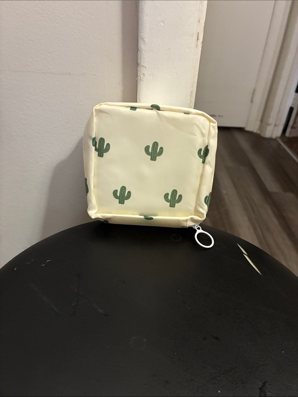 Fashion Bug Cream Mini Cactus Makeup Pouch